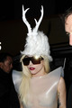 lady gaga 14.jpg